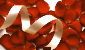 Ribbon Ribbon
