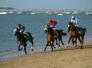 Off to The Races Off to The Races