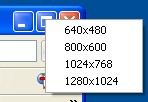 Sizer Maximize Button